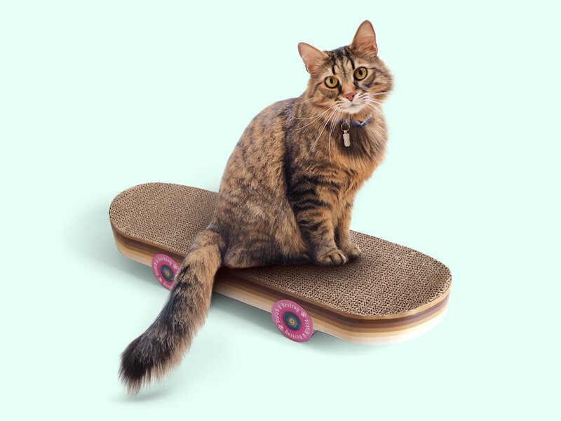 Skateboard Klösbräda till Katt – Suckuk