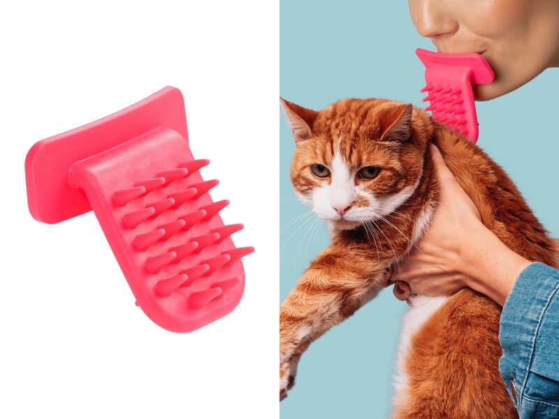 Lick Kattborste – Coolstuff