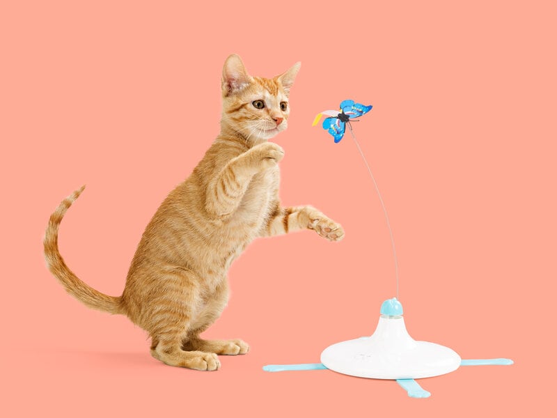 Fjäril Aktivitetsleksak för Katt – Coolstuff